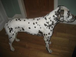 Lola