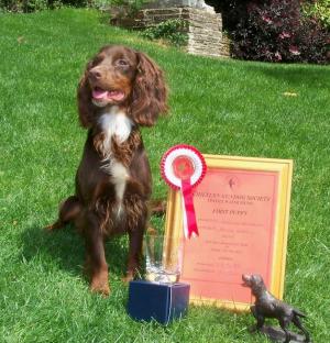 Tweed with his winning card