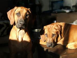 Rita left 8 months old with her sister
