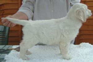 Aimee at 7 weeks