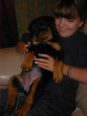 Solo age 6weeks