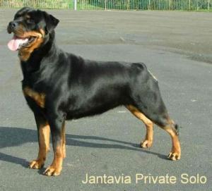 Solo 14mths
