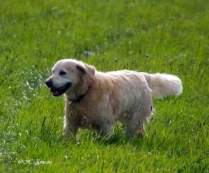 Tor at 11 years old