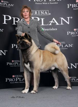 Zac CRUFTS 2007 !