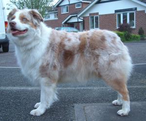 Holly standing, age 6 years