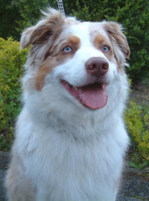 Headshot of Holly taken May 2006