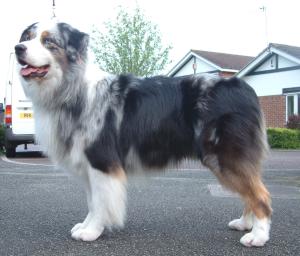 Malik standing, age 3 and a half years
