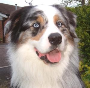 Headshot of Malik taken May 2006