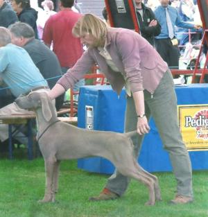 Reg at one of his first champ shows