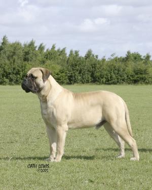 Wilfy at the BBL CH SHOW July 2005
