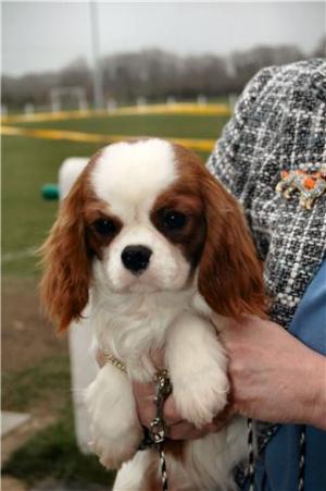 GIGI AT 6 MONTHS OLD