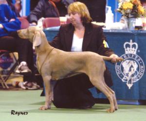 Xena at Crufts 2004