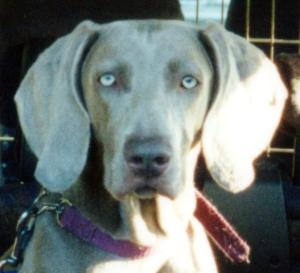 Xena