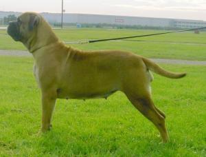 Roux at 4