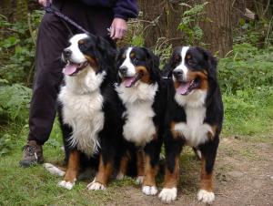 Madi, Uschi, Geilo
