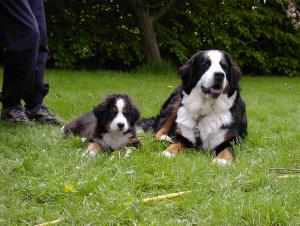 Madi and her half sister