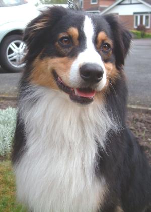 Beautiful Boy !!!