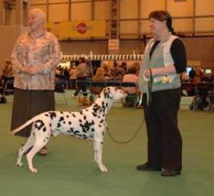 Aspen RCC at CRUFTS