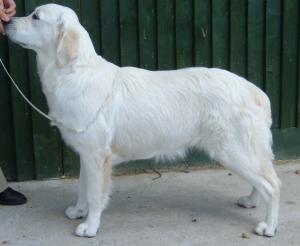 Skye at 7 1/2 months