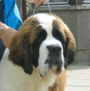 Bronwyn at 6 months