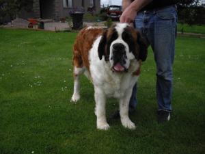 Bronwyn aged 4