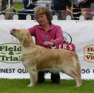 Georgia in the show ring
