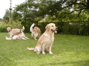 Lia with the gang playing behind