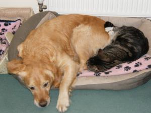 Lia sharing her bed