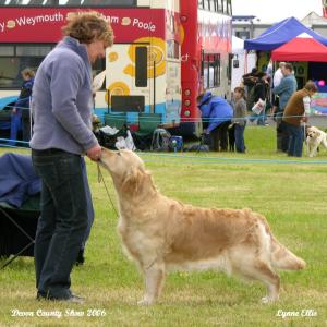 Maya in the show ring