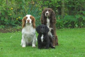 Linnet with her mum and half sister