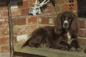 Kizzy and Linnet