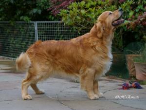 Reiver at 5 years old