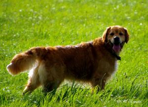 What a handsome lad !