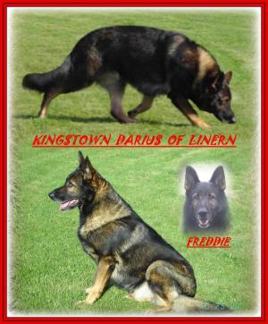 FREDDIE AT 8  &  9 yrs.(bottom)