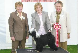 Crunchie winning the Utility Puppy Group BRM2004