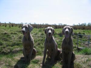 L-R Keir, Mum Marnie, Liberty May 2006