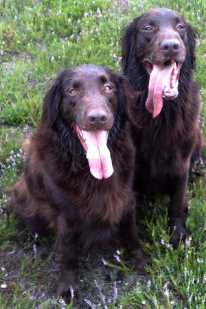 Brie and son Chase taking a breather