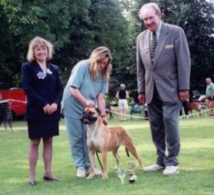 Ammi at the Southern Bullmastiff Champ Show 2000