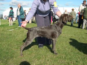 Ladyhawke Andromeda over Tholumi at 9 Months