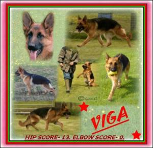 LINERN VIGA.     HIP SCORE - 13  ELBOW SCORE - 0.