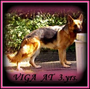 LINERN VIGA  AT  3.YRS.