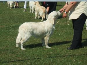 Dylan's first show