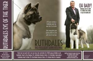 Int/Rus/Mol/Ukr Ch. Ruthdales Eye Of The Tiger