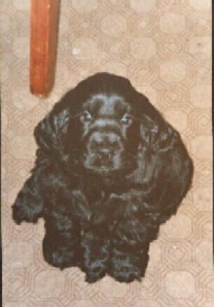 Our Arche - at 18 weeks