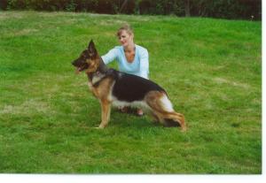 Champion Jasueter Fawn Flame