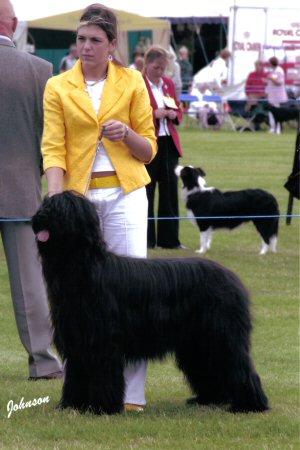 Williams with his co-owner and handler Nikki Rual