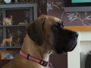 Matilda