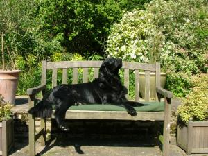 BESS relaxing