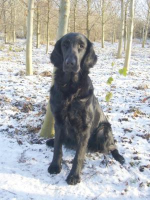 Connie - December 2009