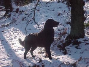 Tilda in January